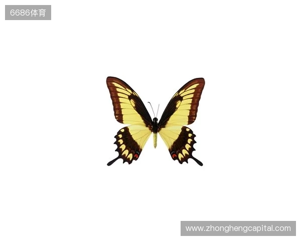 破茧成蝶:Legacy如何登顶南美、跻身世界顶尖行列 破茧成蝶:Legacy如何登顶南美、跻身世界顶尖行列