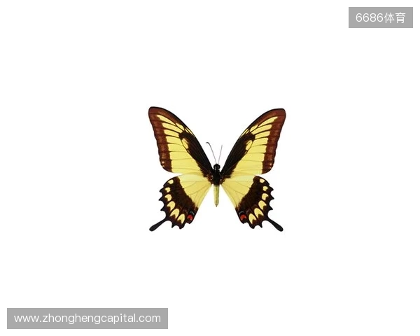 破茧成蝶:Legacy如何登顶南美、跻身世界顶尖行列 破茧成蝶:Legacy如何登顶南美、跻身世界顶尖行列